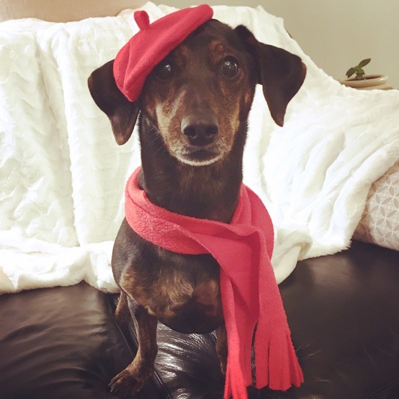 Meet your Posher, T - Picture 6 of 6